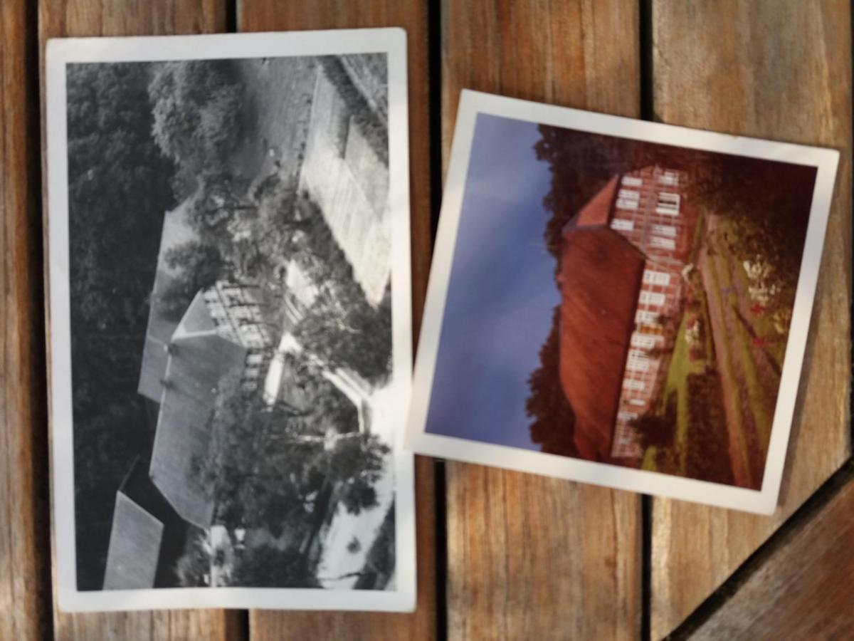 Hof Dueshop Bad Fallingbostel Exterior foto