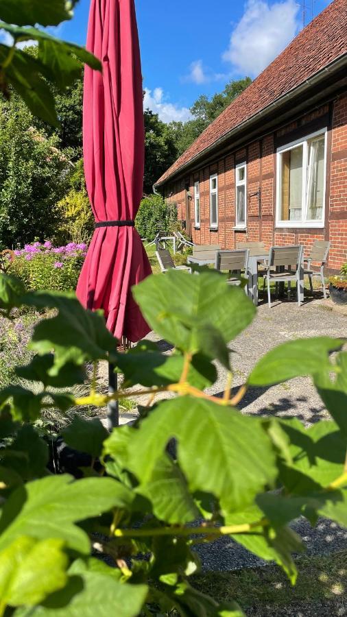 Hof Dueshop Bad Fallingbostel Exterior foto