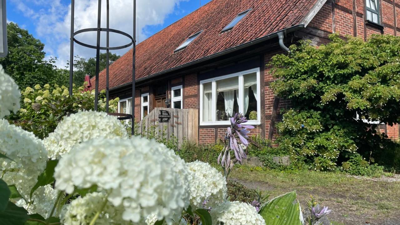 Hof Dueshop Bad Fallingbostel Exterior foto
