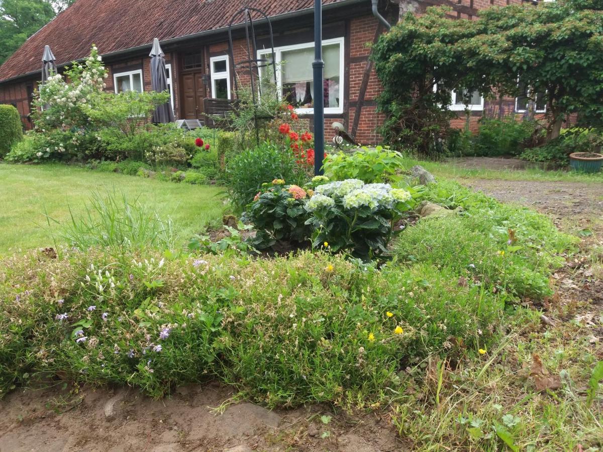 Hof Dueshop Bad Fallingbostel Exterior foto